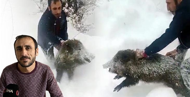 Sürüye dalıp, çıplak eliyle domuz yakaladı! Yaşananları anlattı: Kimse özenmesin, parçalar