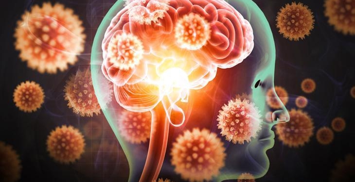 Yarasalardan bulaşan ölümcül virüse karşı uyarı!