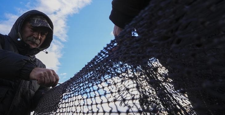 Yarısı tamamlanan av sezonunda hamsi ve sardalya yüz güldürdü