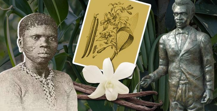 Çocuk kölenin parmaklarından vanilya döküldü! Arıları taklit edip elle üretti, adı gizlendi