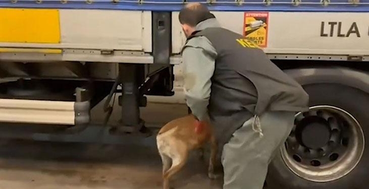 Edirne’de 240 kilogram uyuşturucu ele geçirildi