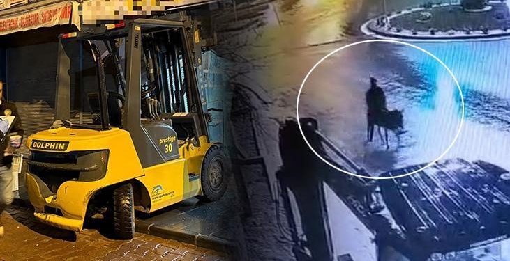Forkliftle kuyumcuya girdi, eşekle kaçtı! Altınları sakladığı yeri itiraf eti