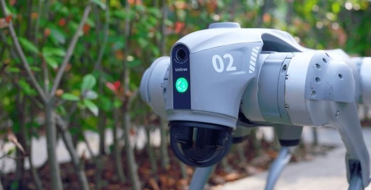 Hint Galgotias Üniversitesi, Çin yapımı robotu kendileri yapmış gibi gösterdi