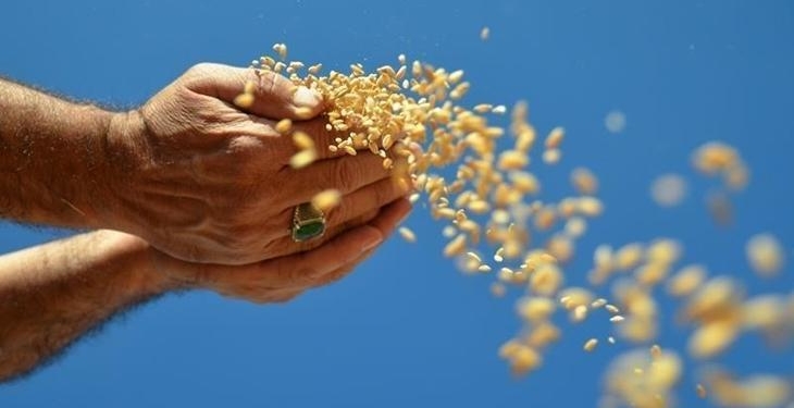 Hububat, bakliyat, yağlı tohumlar ihracatı 1 milyar dolara yaklaştı