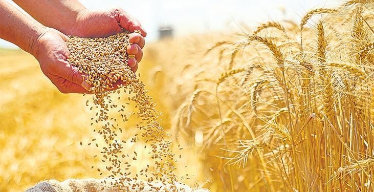 ‘İsrail’den tek bir tohum almıyoruz’