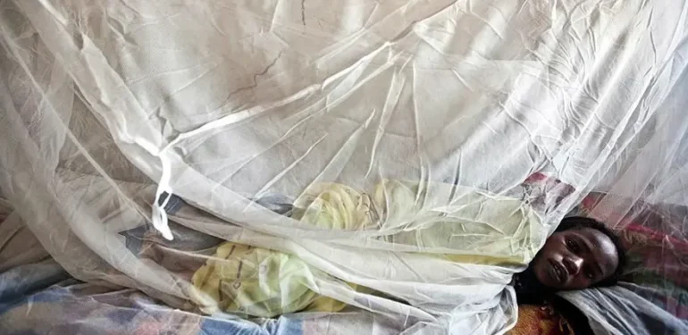 Lassa ateşi. Nijerya’da 2 ayda 70 kişi öldü