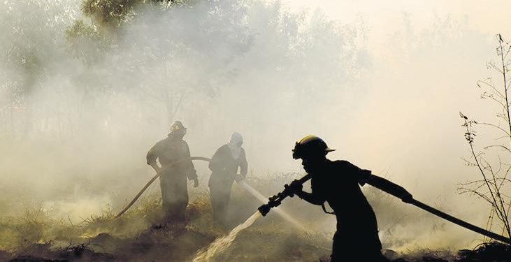 Orman yangınlarına karşı seferberlik