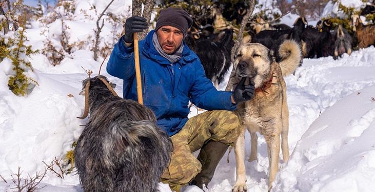Otopsi yaptırdı, korkunç gerçek ortaya çıktı: Onun sadece adı köpekti