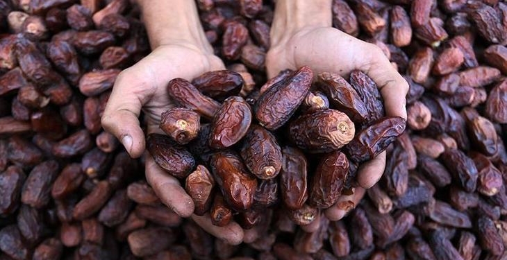 Ramazanın yıldızı hurma için 5 yılda yaklaşık 279 bin ton ithalat