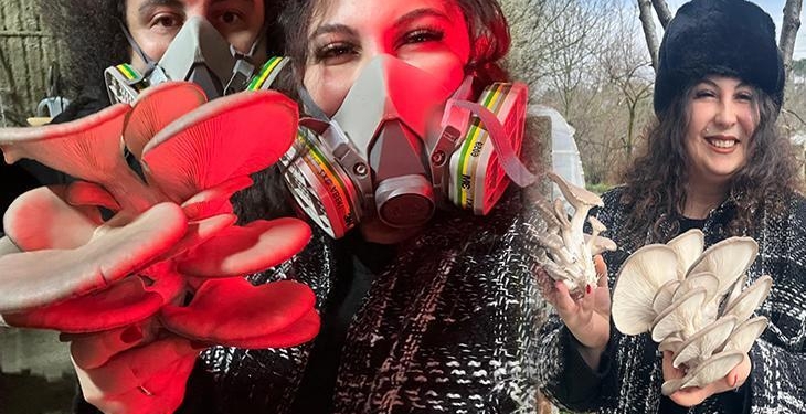 Şehri bırakıp köyde mantar üreticisi oldular! ‘Orta vadede tatmin edici geliri var’