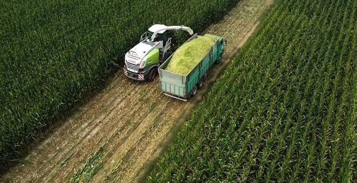 Tarım ÜFE ocakta aylık bazda yüzde 8,46 arttı