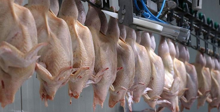 Ticaret Bakanlığından, kanatlı eti ihracatının durdurulmasına ilişkin açıklama