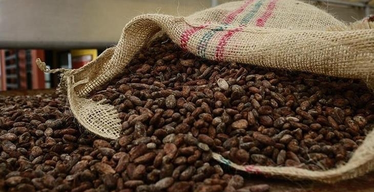 Türkiye yetiştirmediği kakaodan 1,7 milyar dolar kazandı