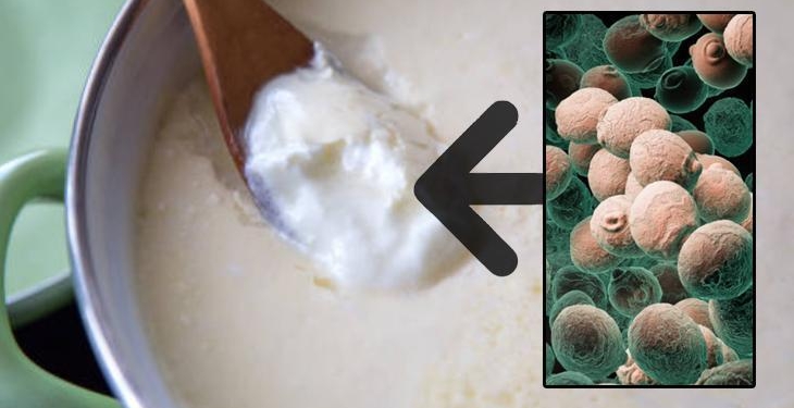 Yoğurt mayası tutmadıysa hemen deneyin! 2 saatte düzeliyor: Sünmesinin nedeniymiş